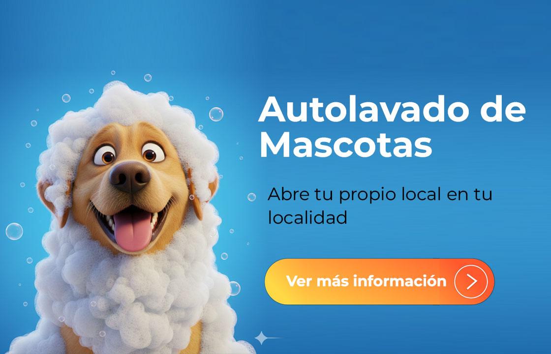 Dog Wash Autolavado de mascotas